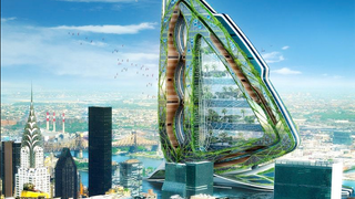 Dragonfly Skyscraper Farm Will Give Pigs the Best Views of Manhattan
